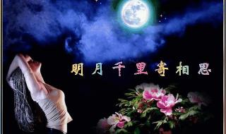 明月千里寄相思诗词