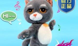 用电动玩具玩自己