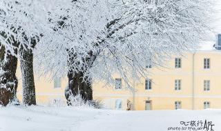 冬天的第一场雪作文