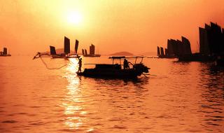 鼋头渚门票团购