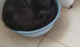 宝贝对不起不是不爱你