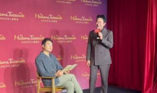 厉总你找错夫人了短剧