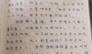 我的老师作文500字