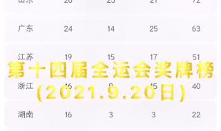 山东全运会奖牌榜排名